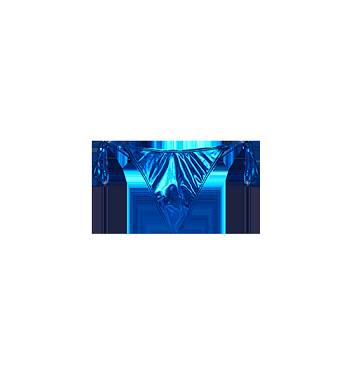 Trapstar Womens Hyperdrive Metallic Bikini Tie Side Bottoms Blue | TS-65084